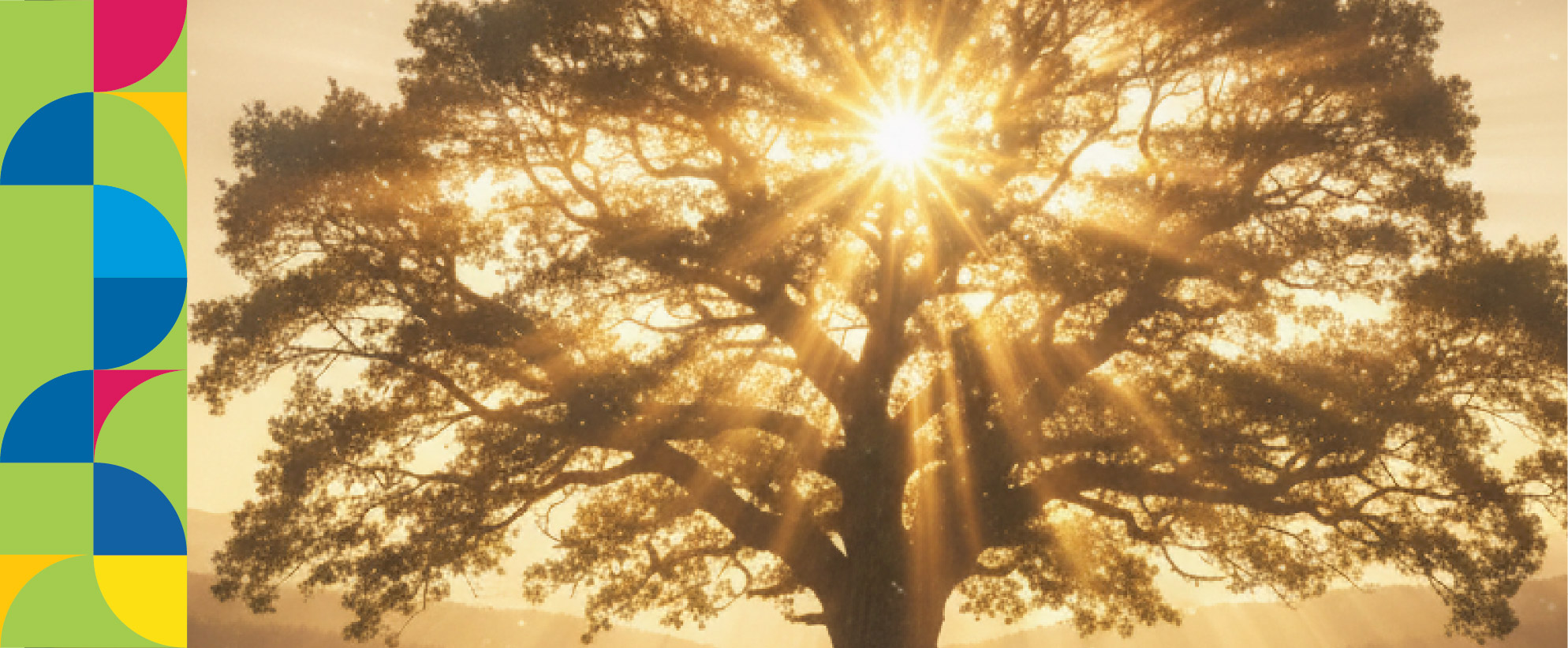 PrestigeWealth-<span>i</span>