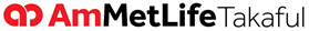 AmMetLife